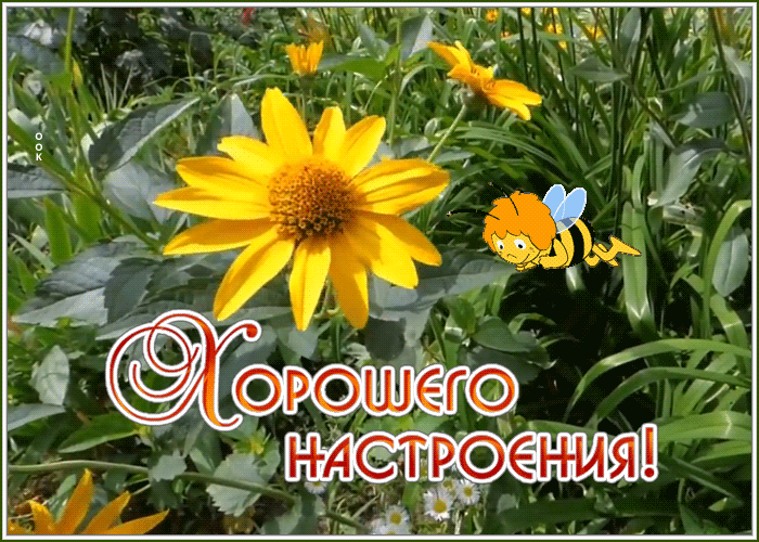 Открытка картинка хорошего настроения и всего доброго