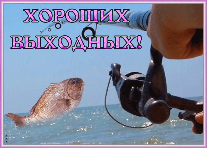 Картинка картинка хороших выходных с рыбалкой