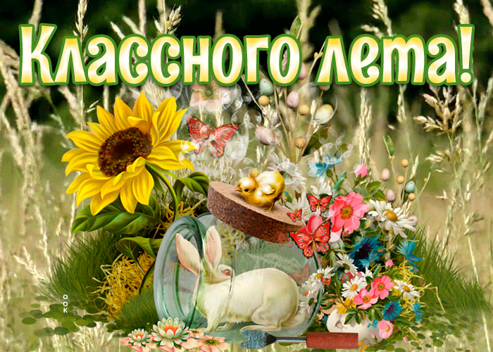 Картинка картинка классного лета