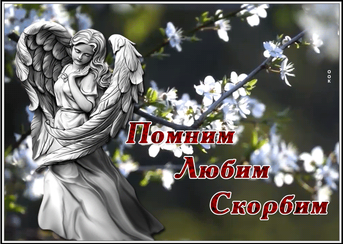 Картинка картинка любим помним