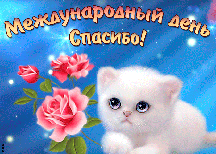Открытка картинка международный день спасибо с котиком