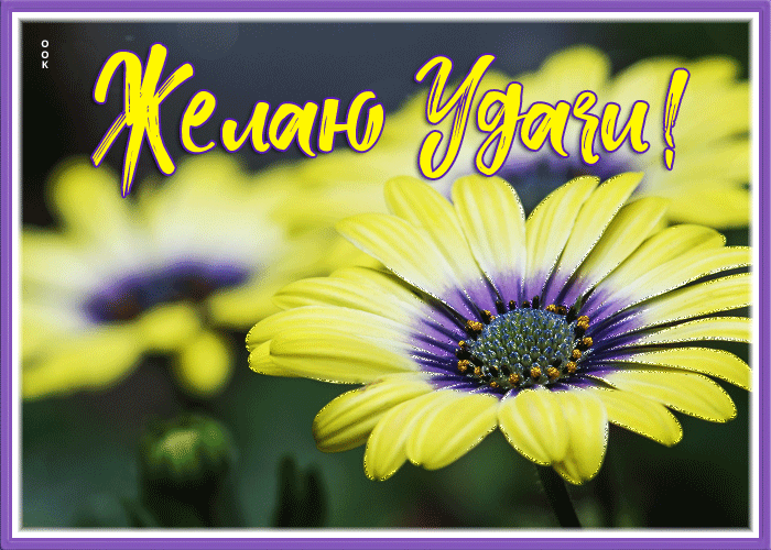 Picture картинка на удачу с яркими цветами