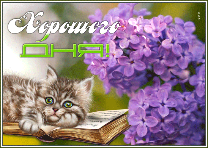 Картинка картинка очень хорошего дня
