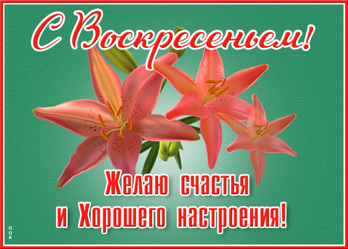 Открытка картинка плодотворного воскресенья