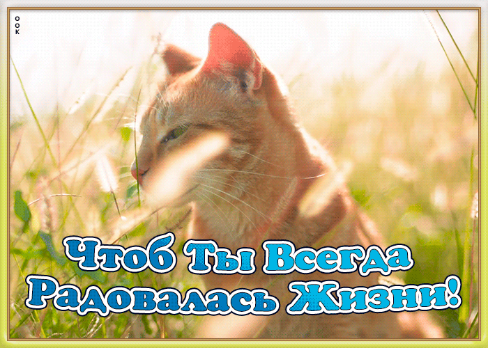 Картинка картинка подруге с надписями