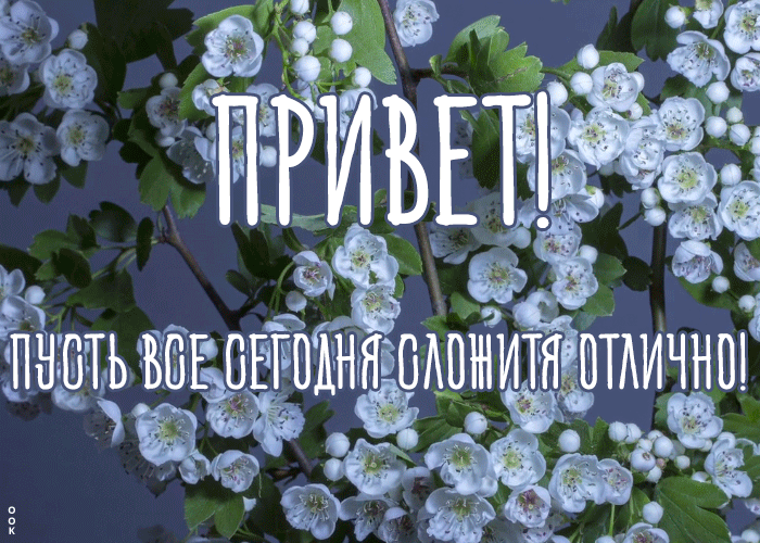 Открытка картинка привет новый день