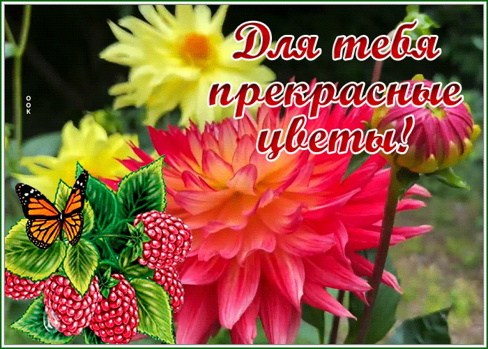 Postcard с цветами