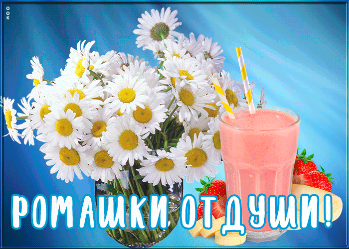 Картинка картинка ромашки от души