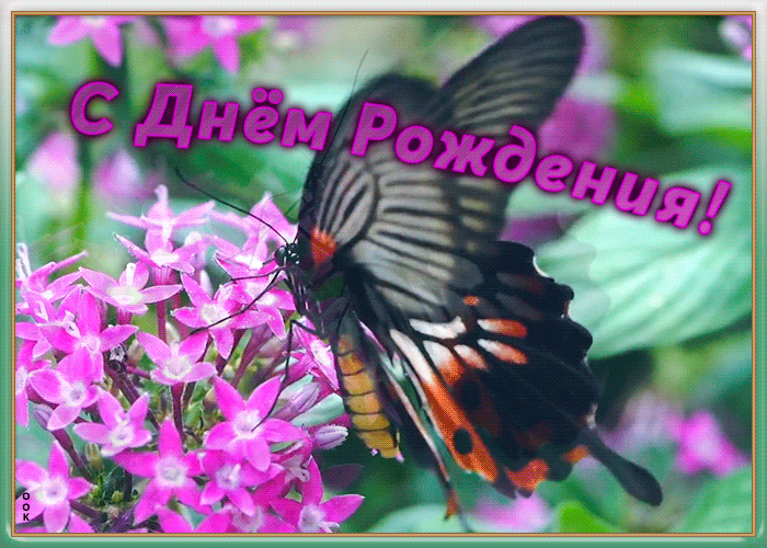 Открытка картинка с днем рождения девочке с бабочкой
