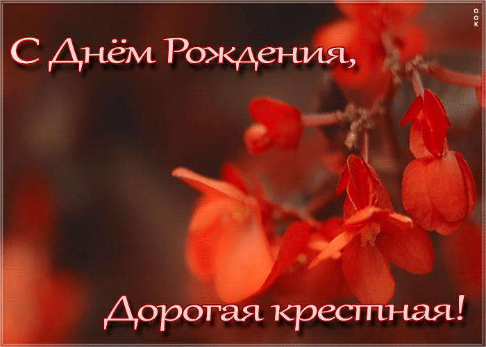 Картинка картинка с днем рождения крестной с анимацией