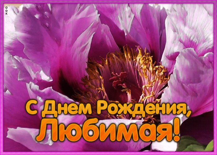 Открытка картинка с днем рождения любимой с анимацией