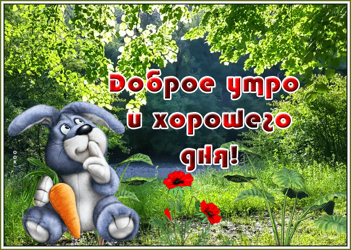 Картинка картинка с добрым утром хорошего дня