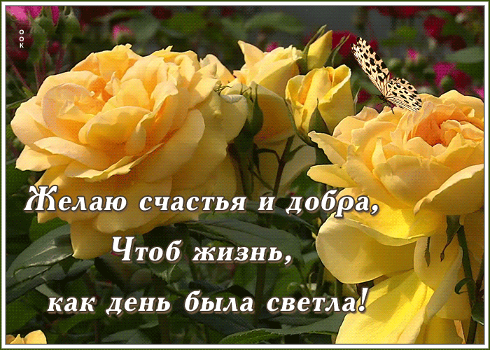 Картинка картинка с пожеланиями счастья