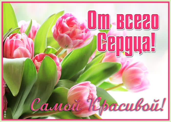 Открытка картинка с розовыми цветами