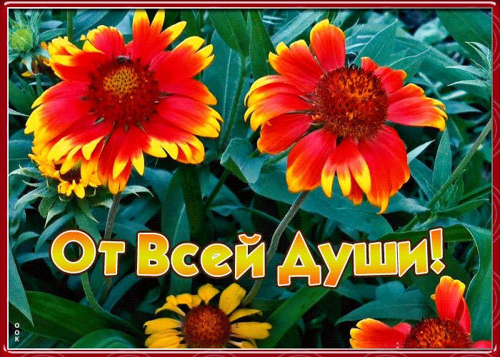 Картинка картинка с цветами от души