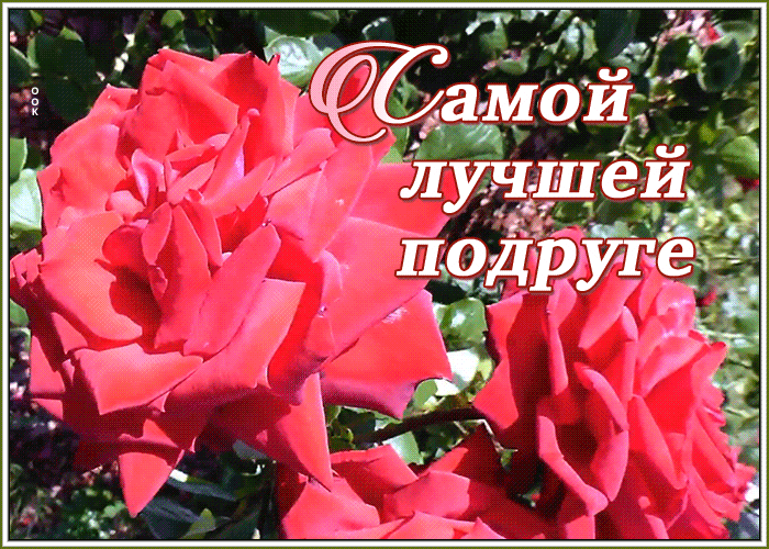 Картинка картинка самой лучшей подруге