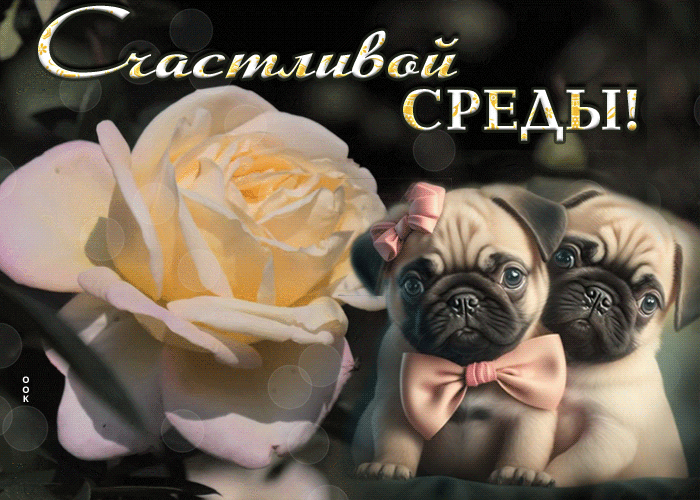 Picture картинка счастливой среды с мопсиками