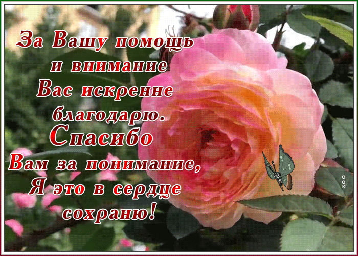 Картинка картинка со словом благодарю