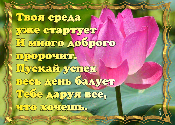 Картинка картинка со средой с пожеланиями