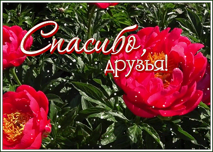 Картинка картинка спасибо друзьям