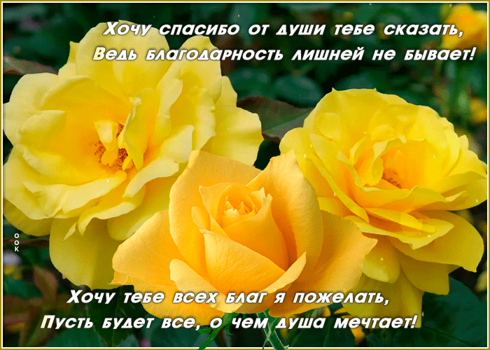 Открытка картинка спасибо с розами