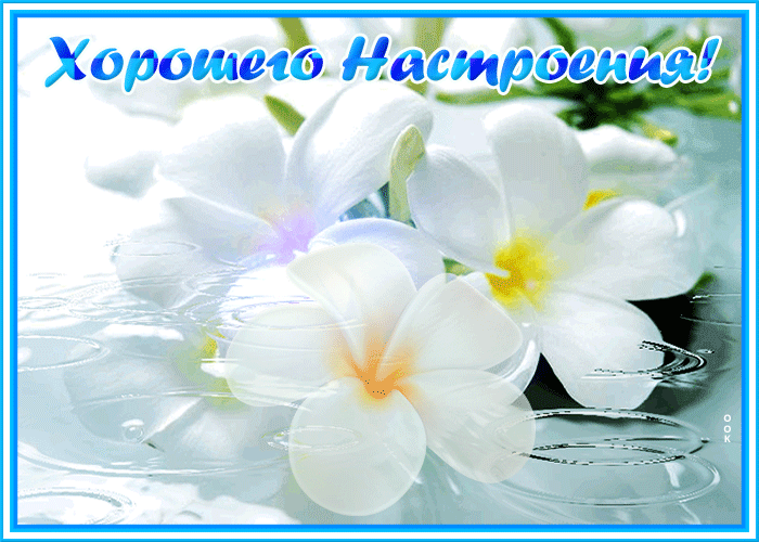 Открытка картинка цветочного настроения