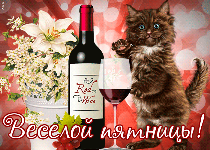 Picture картинка веселой пятницы с котиком