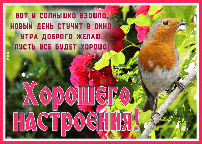 Postcard картинка хорошего настроения на утро