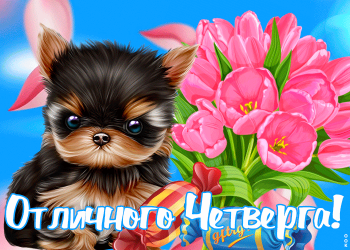 Картинка картинка яркого четверга