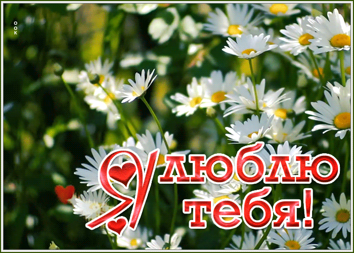 Открытка хорошая открытка я тебя люблю