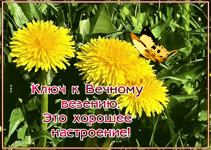 Открытка хорошего настроения хочу пожелать