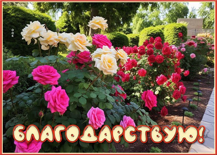 Picture классная картинка благодарствую