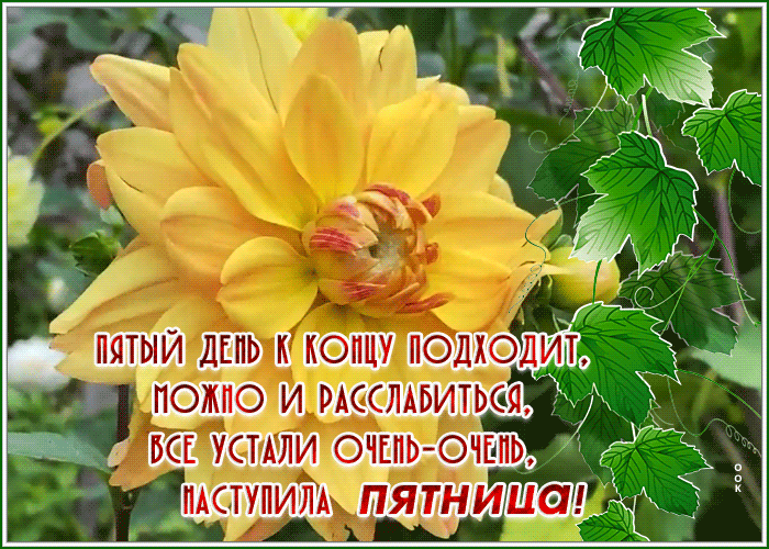 Postcard классная открытка наступила пятница