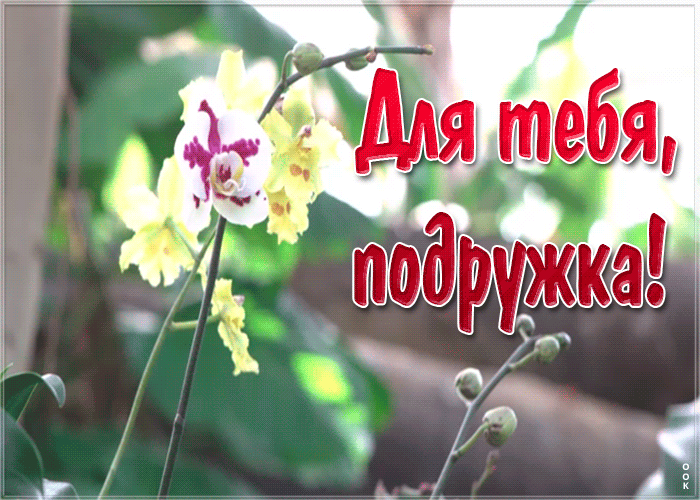 Открытка красивая картинка подруге