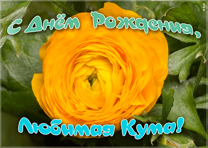 Открытка красивая картинка с днем рождения любимой куме