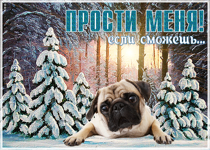 Открытка красивая открытка прости с зимой