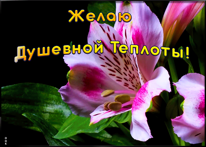 Открытка красивая открытка с пожеланиями