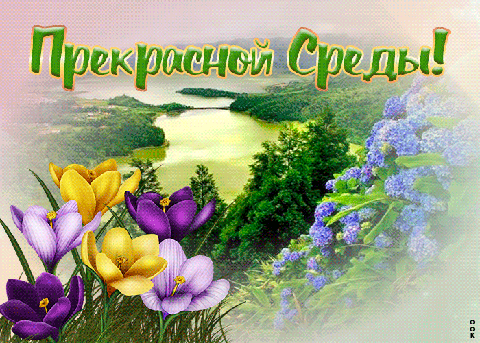 Открытка красивая открытка со средой