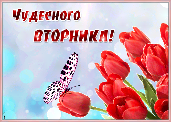 Картинка красочная открытка с вторником