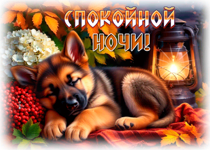 Picture красочная гиф-открытка, спокойной ночи