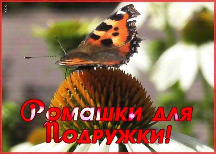Открытка креативная открытка подруге