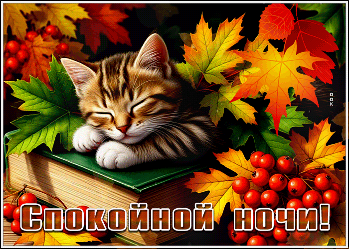 Picture лирическая гиф-открытка, пусть ночь будет по осеннему спокойной