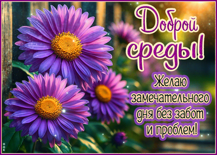 Postcard лёгкая открытка, хорошей среды