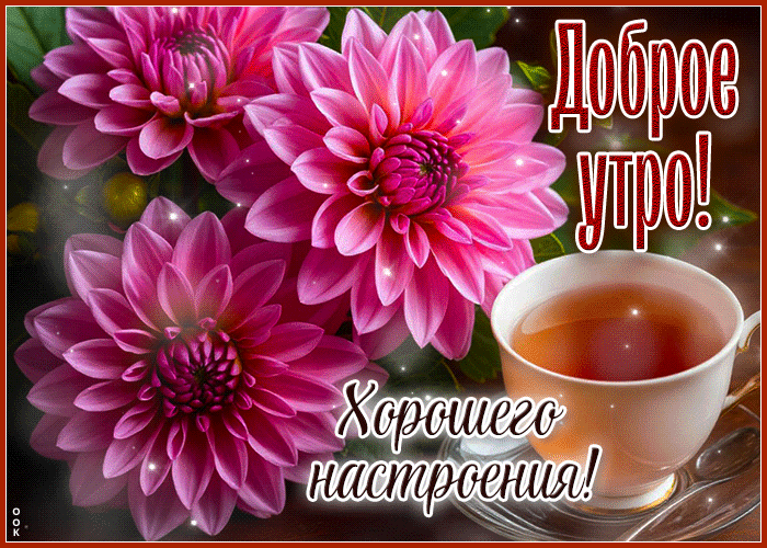 Postcard мелодичная гиф-открытка, доброе утро и хорошего настроения