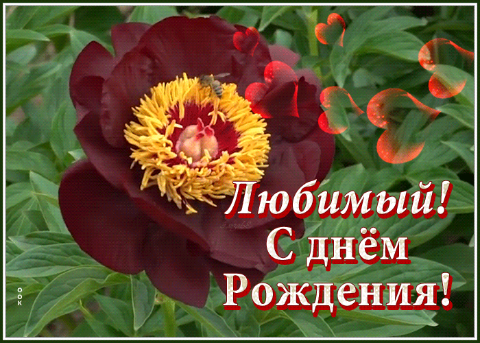 Картинка мерцающая открытка с днем рождения любимому