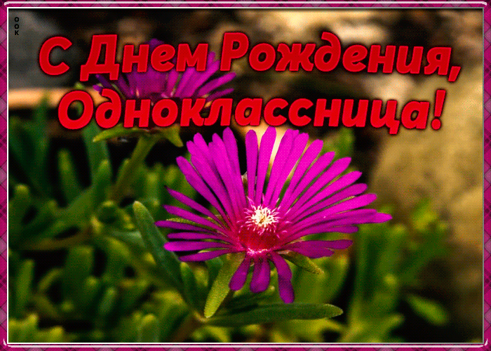 Картинка мерцающая открытка с днем рождения однокласснице