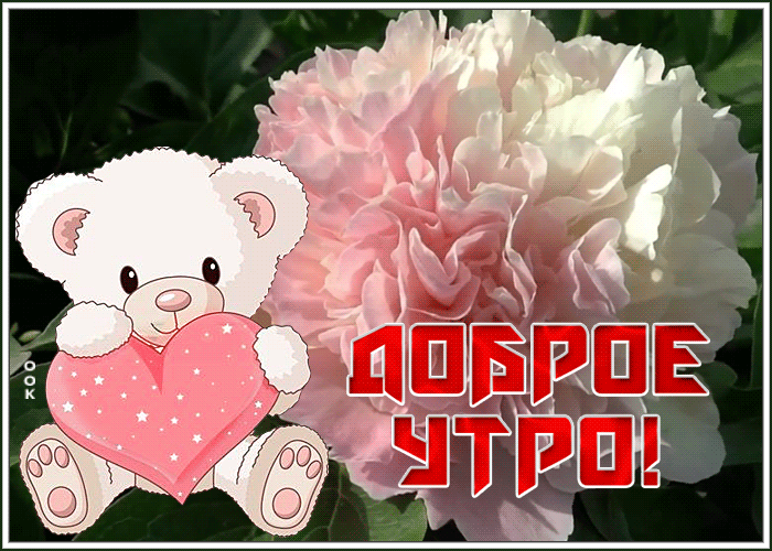 Открытка милая картинка доброе утро