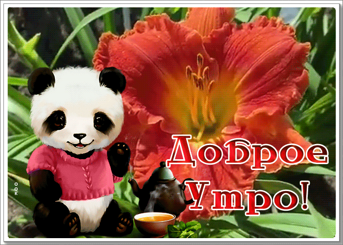 Postcard милая картинка доброе утро с цветком и пальмой