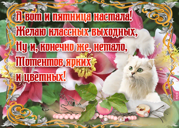 Картинка милая картинка с пятницей