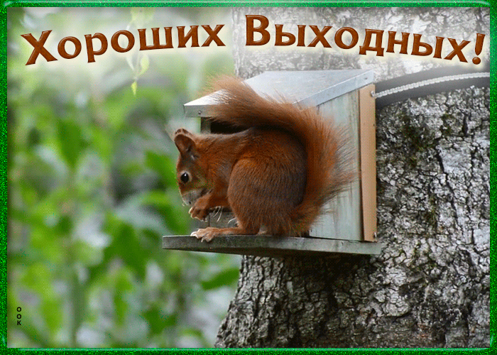 Открытка милая открытка хороших выходных